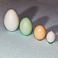 Яйцо подкладное голубиное (перепелиное)