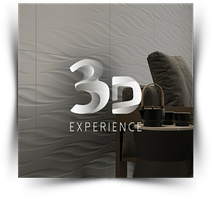 3D Experience