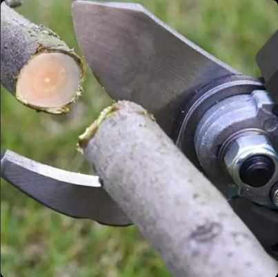 Электроножницы для обрезки деревьев - фото 4 - id-p179997043