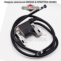 Модуль зажигания для двигателя BRIGGS & STRATTON (394891)