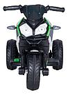 Электротрицикл Farfello JT907 (зеленый), фото 2