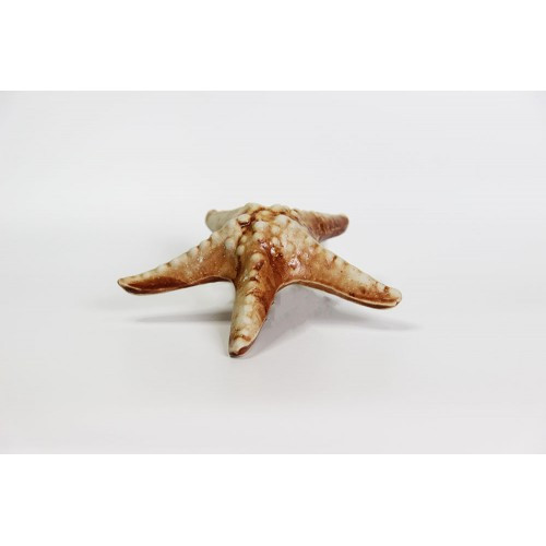Статуэтка аквариумная звезда арт. та-10377 - фото 1 - id-p175462888