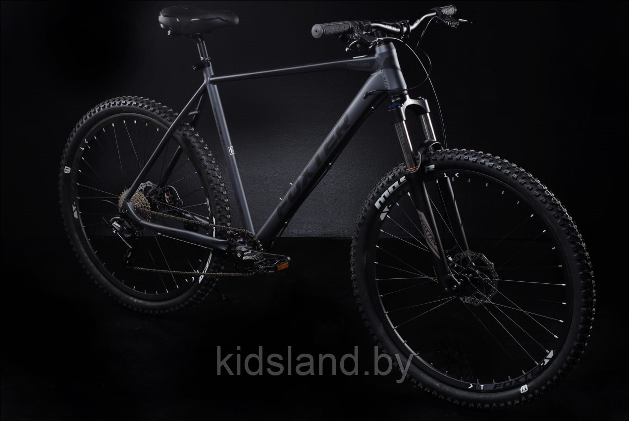 Велосипед Foxter ChicaGO 29'' 1*9x (серый матовый) - фото 2 - id-p180130273
