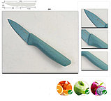 Набор ножей FORGING FAMILY (разноцветные), фото 6