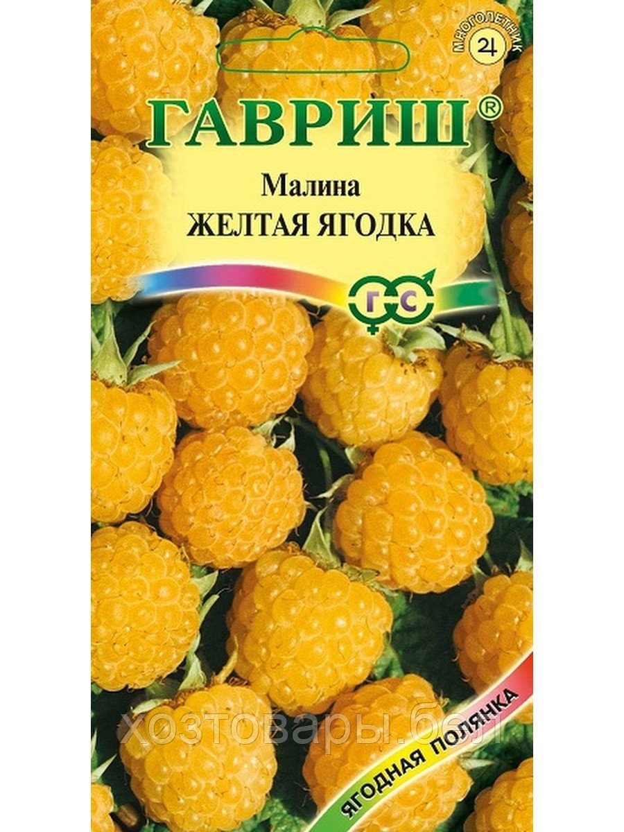 Малина Желтая ягодка 10шт Ранн (Гавриш)