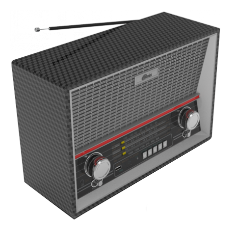 Радиоприемник Ritmix RPR-102 (карбон)