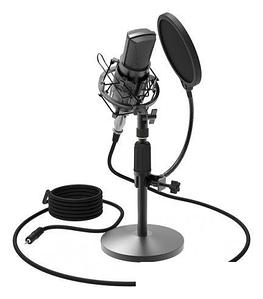 Микрофон Ritmix RDM-175