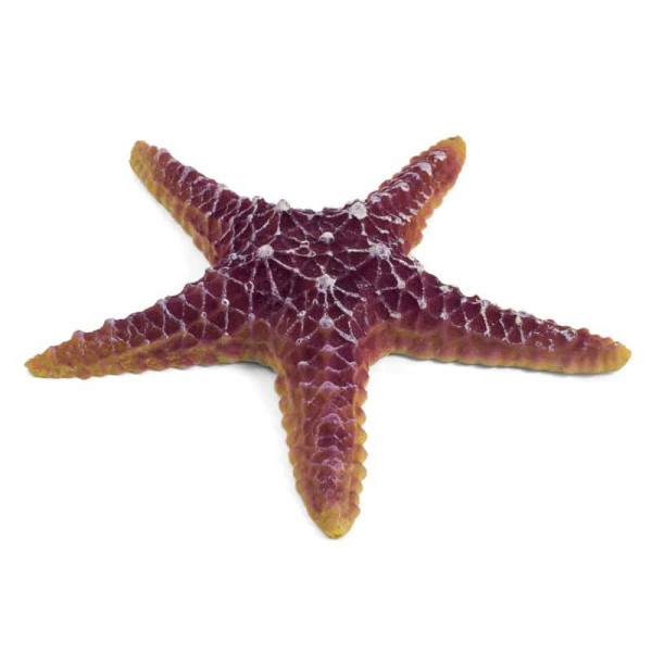 Грот для аквариума "Морская звезда" (74004166)
