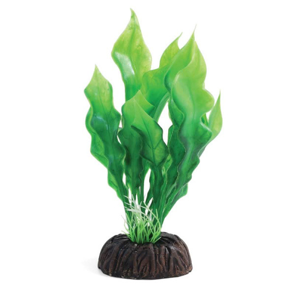 Растение для аквариума "Апоногетон" зеленый, 100 мм (74044109) - фото 1 - id-p110166134