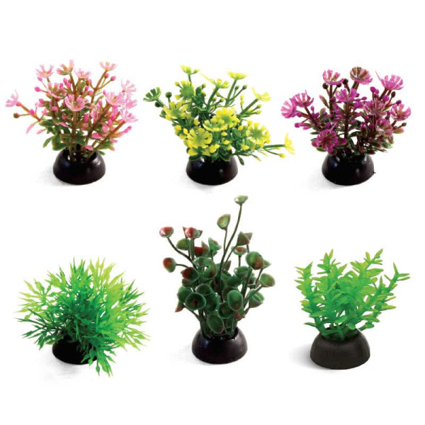 Растения для аквариума Laguna (набор 6 штук), 50 мм (74044162) - фото 1 - id-p110166135