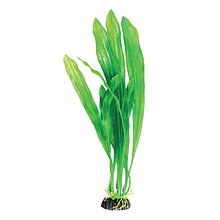 Растение для аквариума Laguna "Эхинодорус" зеленый, 200 мм (74044036)