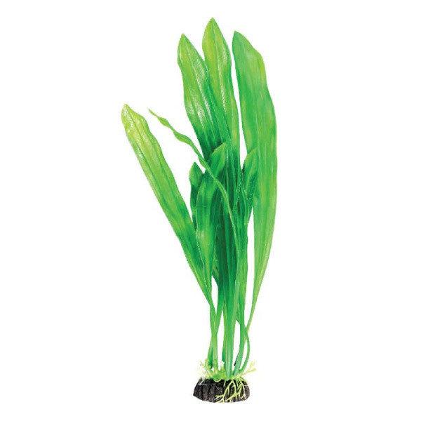 Растение для аквариума Laguna "Эхинодорус" зеленый, 200 мм (74044036) - фото 1 - id-p110581815