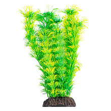 Растение для аквариума "Амбулия" жёлто-зеленая  200 мм (74044037)