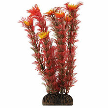 Растение для аквариума "Амбулия" красная, 200 мм (74044038)