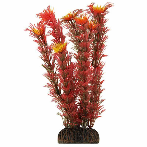 Растение для аквариума "Амбулия" красная, 200 мм (74044038) - фото 1 - id-p110595085