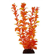 Растение для аквариума "Людвигия" оранжевая, 550 мм (74044067)