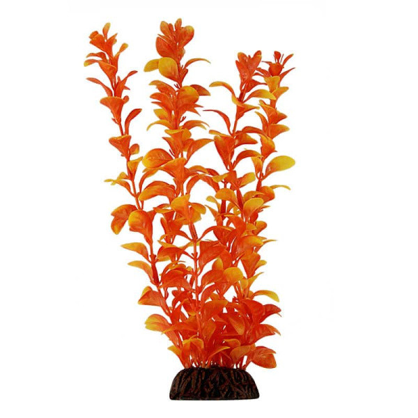 Растение для аквариума "Людвигия" оранжевая, 550 мм (74044067) - фото 1 - id-p110595090