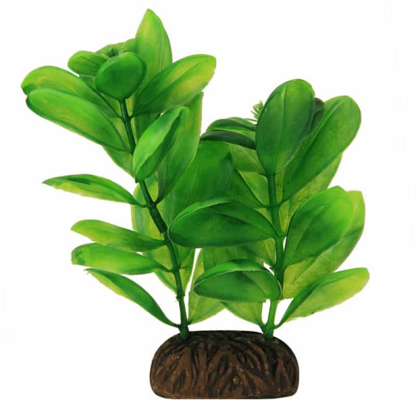 Растение для аквариума "Самолюс" зеленый 100 мм (74044110) - фото 1 - id-p131643748