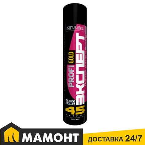 Пена монтажная Эксперт 45 с апликатором, 750 мл, фото 2