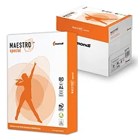 Бумага A4 Maestro Special 80г/м2 500л класс B