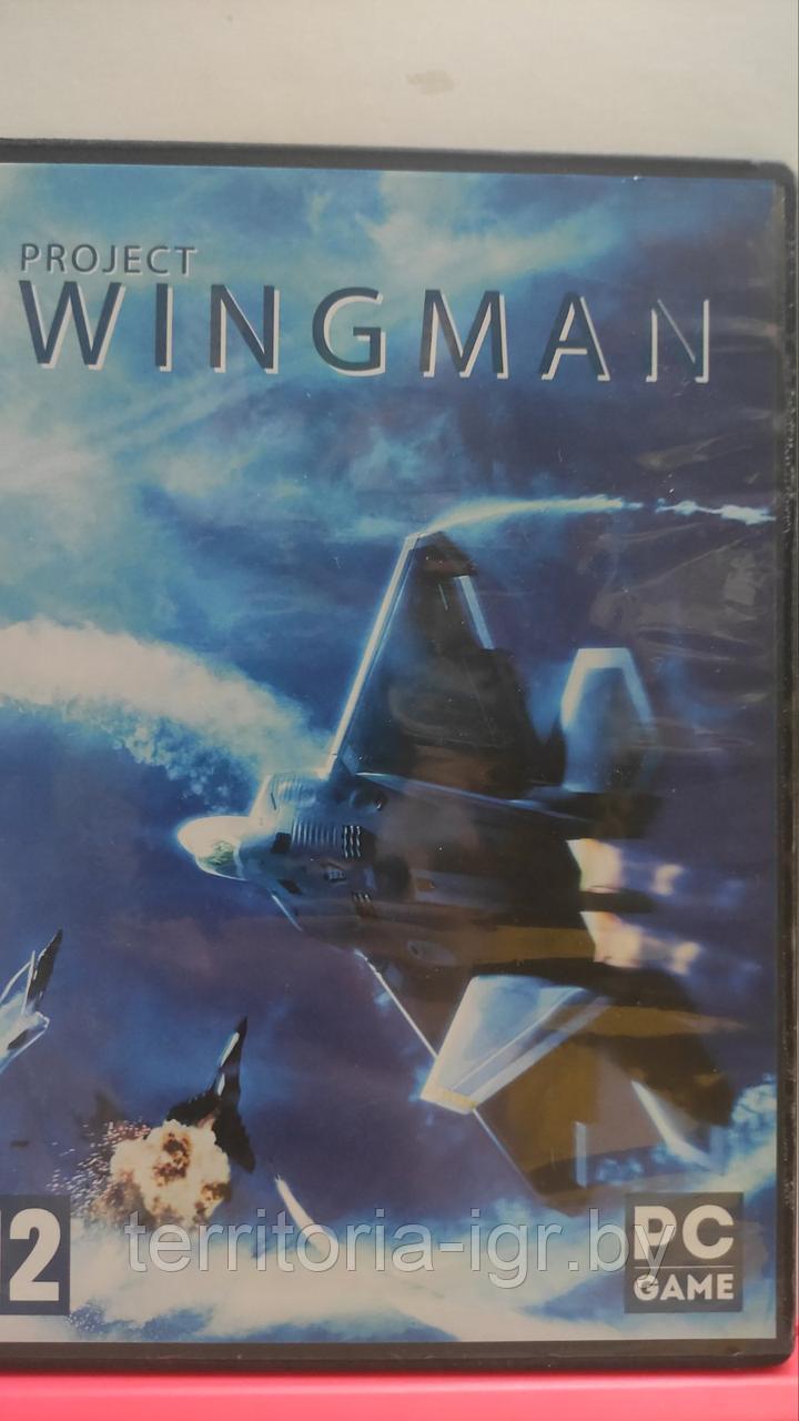 Project Wingman (Копия лицензии) PC