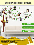 Наклейка на стену «Дерево коричневое с зелеными листиками и с фоторамками XXL», фото 9