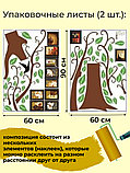 Наклейка на стену «Дерево коричневое с зелеными листиками и с фоторамками XXL», фото 10