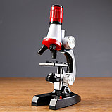 Микроскоп "Юный исследователь", кратность увеличения 1200х, 400х, 100х, с подсветкой, фото 2