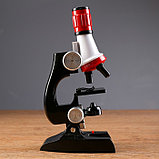Микроскоп "Юный исследователь", кратность увеличения 1200х, 400х, 100х, с подсветкой, фото 4