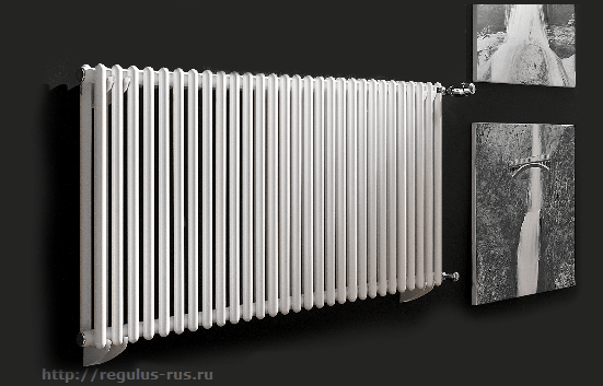 Трубчатые радиаторы отопления REGULUS-system HILL HT2 с боковым подключением двухрядные - фото 1 - id-p178971524