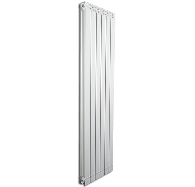 Радиатор вертикальный алюминиевый FONDITAL GARDA DUAL 80 ALETERNUM 1600 - фото 3 - id-p178975621
