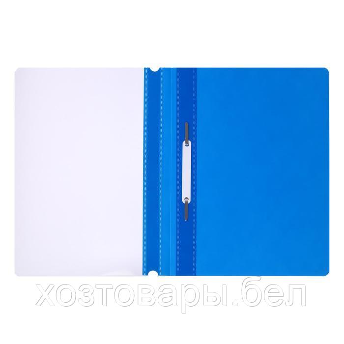 Папка-скоросшиватель Calligrata, А4, 120мкм, с синем прозр.верхом - фото 2 - id-p180688299