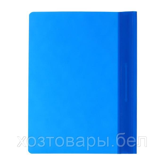 Папка-скоросшиватель Calligrata, А4, 120мкм, с синем прозр.верхом - фото 4 - id-p180688299