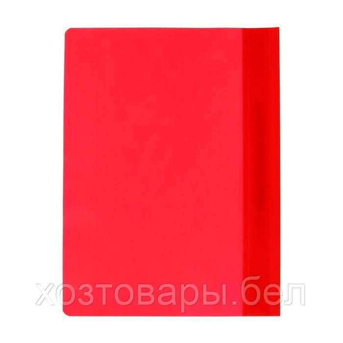 Папка-скоросшиватель Calligrata, А4, 120мкм, с красным прозр.верхом - фото 4 - id-p180688301