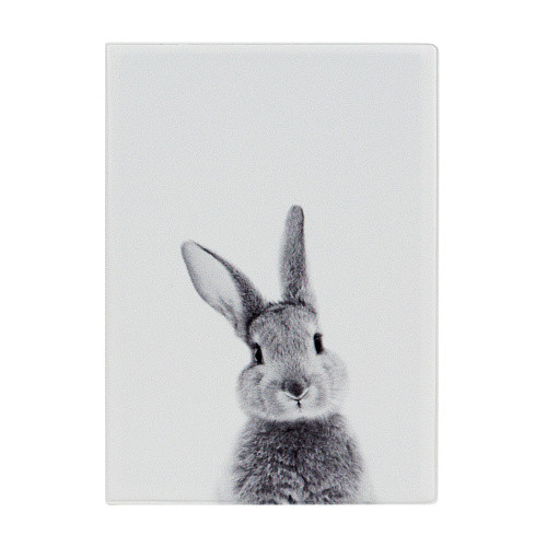 Обложка на автодокументы "Кролик" - фото 1 - id-p180719365