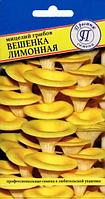 Мицелий Вешенка лимонная 12 палочек (Престиж)