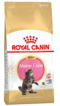Сухой корм для котят Royal Canin Maine Coon Kitten 4 кг