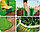Бордюрная лента садовая 20см х 9м Волна зеленая, фото 2