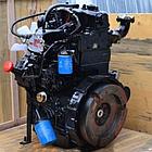 Двигатель дизельный TY295IT, фото 3