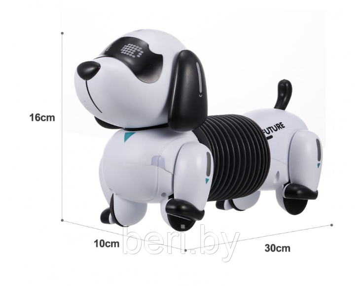K22 Интерактивная робот-собака Такса, (Смарт пес), Robot Dog, свет/звук, поёт песенки, Zhorya - фото 6 - id-p180994727