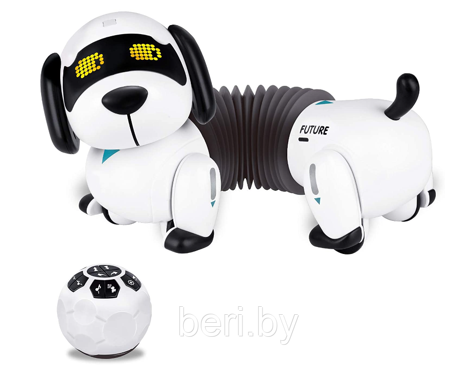 K22 Интерактивная робот-собака Такса, (Смарт пес), Robot Dog, свет/звук, поёт песенки, Zhorya - фото 4 - id-p180994727