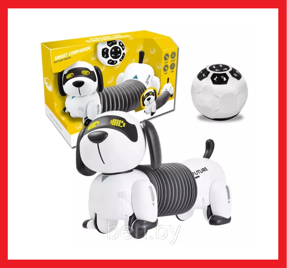 K22 Интерактивная робот-собака Такса, (Смарт пес), Robot Dog, свет/звук, поёт песенки, Zhorya - фото 3 - id-p180994727