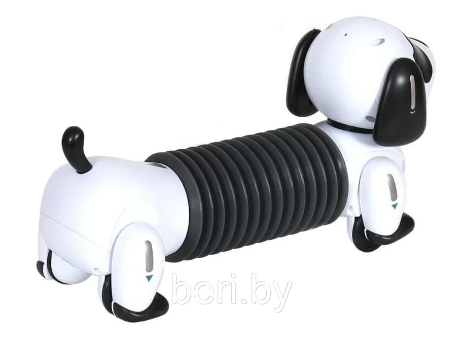 K22 Интерактивная робот-собака Такса, (Смарт пес), Robot Dog, свет/звук, поёт песенки, Zhorya - фото 8 - id-p180994727