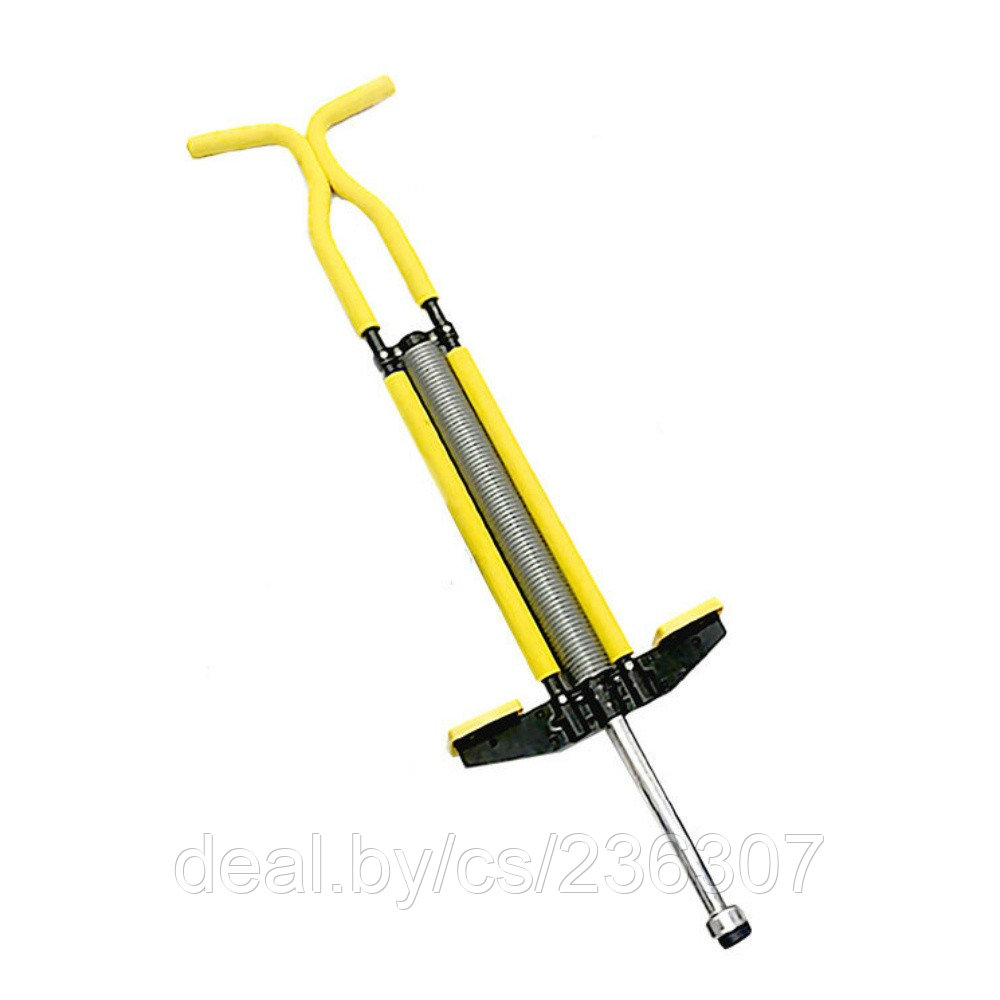 Pogo Dick