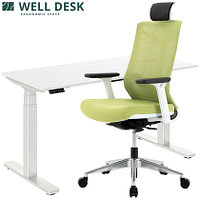 Комплект мебели "Welldesk": cтол двухмоторный, белый, столешница пепел + кресло "Nature ll"