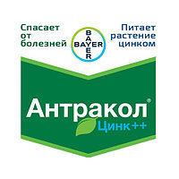 Фунгицид Антракол Zn++ (100 г)