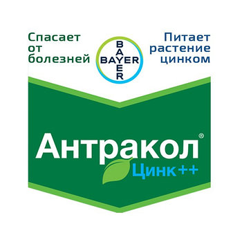 Фунгицид контактный Антракол Zn++ (100 г)