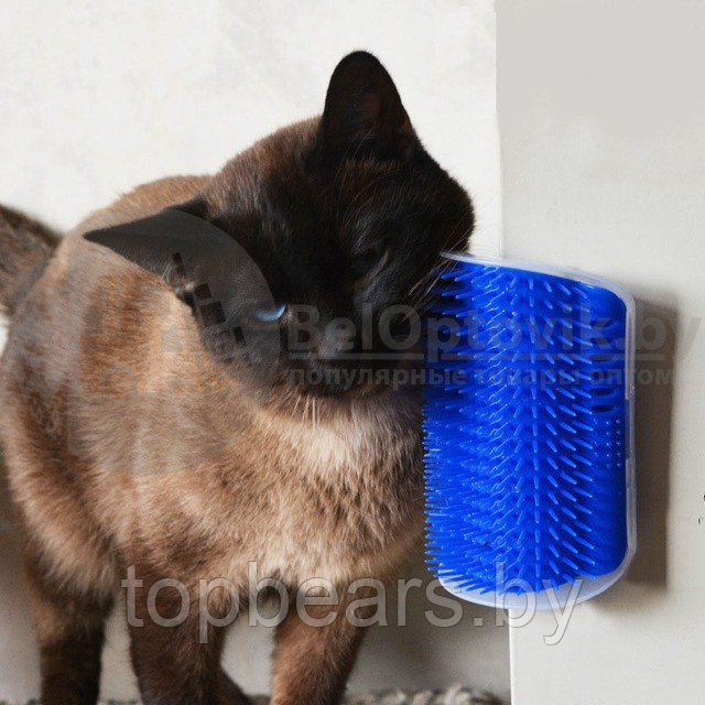 Catit Self Groomer Игрушка-массажер для котят и кошек - фото 2 - id-p181138699