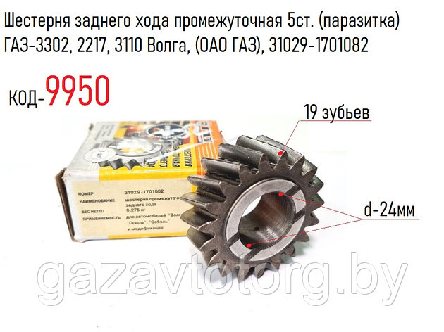 Шестерня заднего хода промежуточная 5ст. (паразитка) ГАЗ-3302, 2217, 3110 Волга, (ОАО ГАЗ), 31029-1701082, фото 2