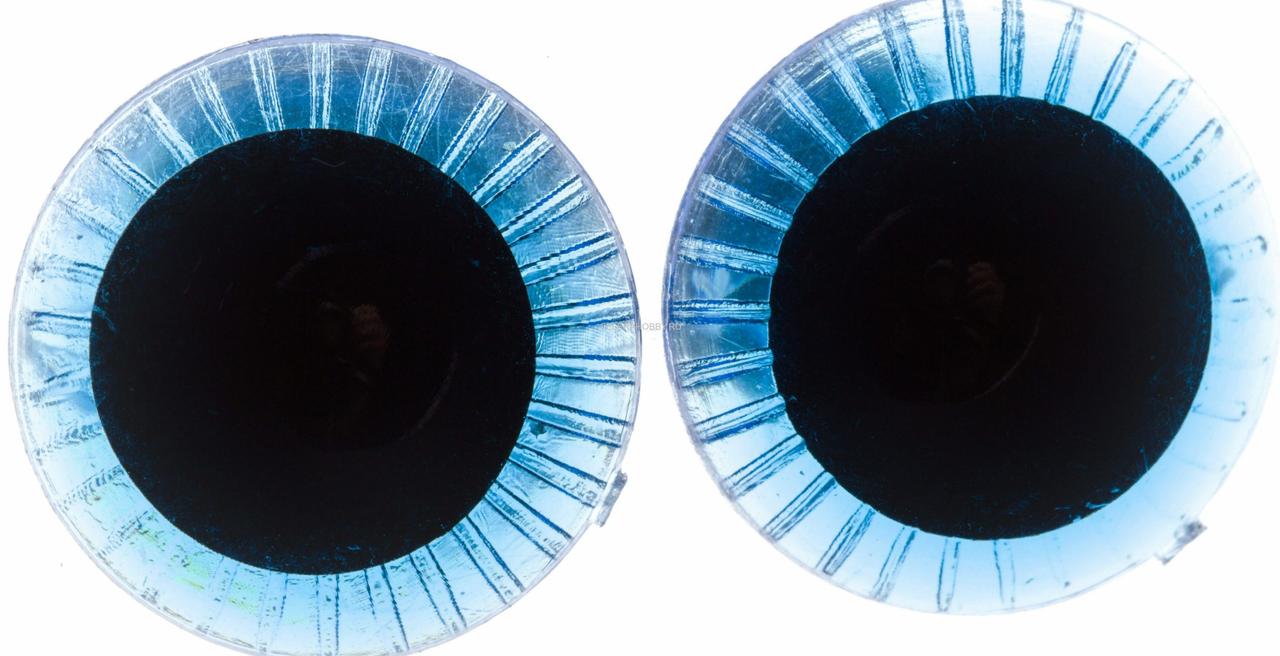 Глаза живые 25 мм с фиксатором цв. голубой - фото 2 - id-p181182054